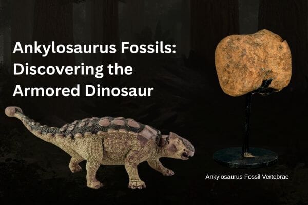 Ankylosaurus Fossils: Discovering the Armored Dinosaur
