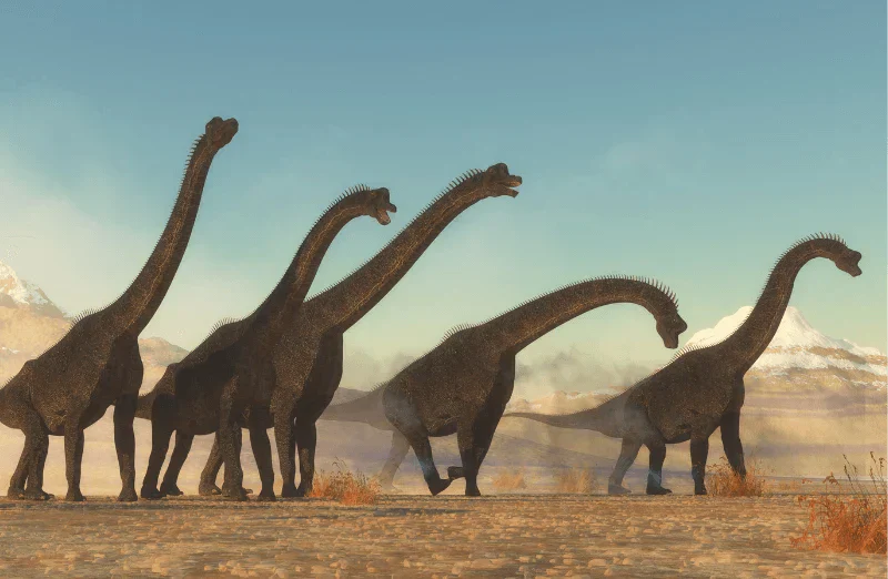 New Dinosaur Discoveries: A Puzzle from Prehistory