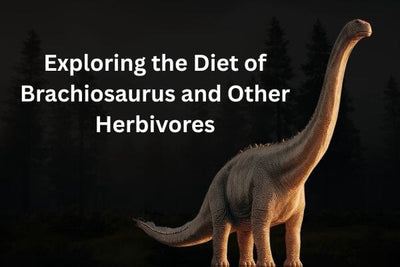 Exploring the Diet of Brachiosaurus and Other Herbivores