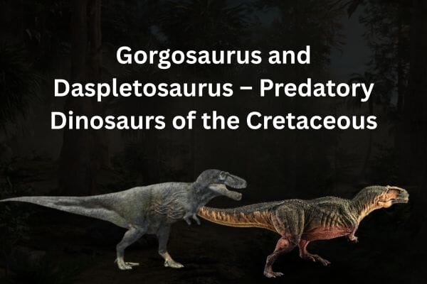 Gorgosaurus and Daspletosaurus – Predatory Dinosaurs of the Cretaceous