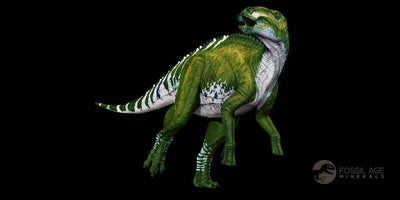 Unreal And Innovative Facts About Gryposaurus Fossils