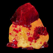 2" Stunning Red Pruskite Yellow Base Crystal Mineral Specimen From Poland