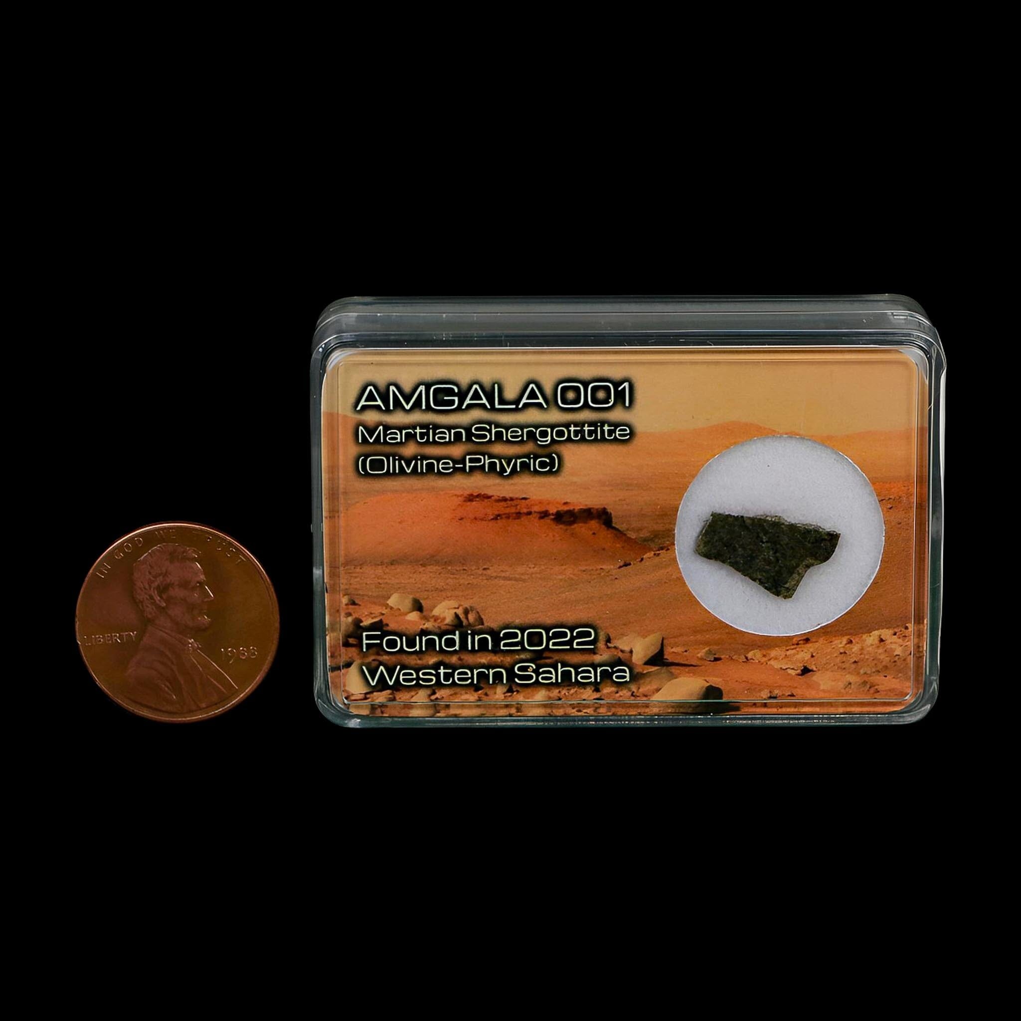 Mars Rock Martian Meteorite Amgala 001 Shergottite Olivine-Phyric Display - Fossil Age Minerals
