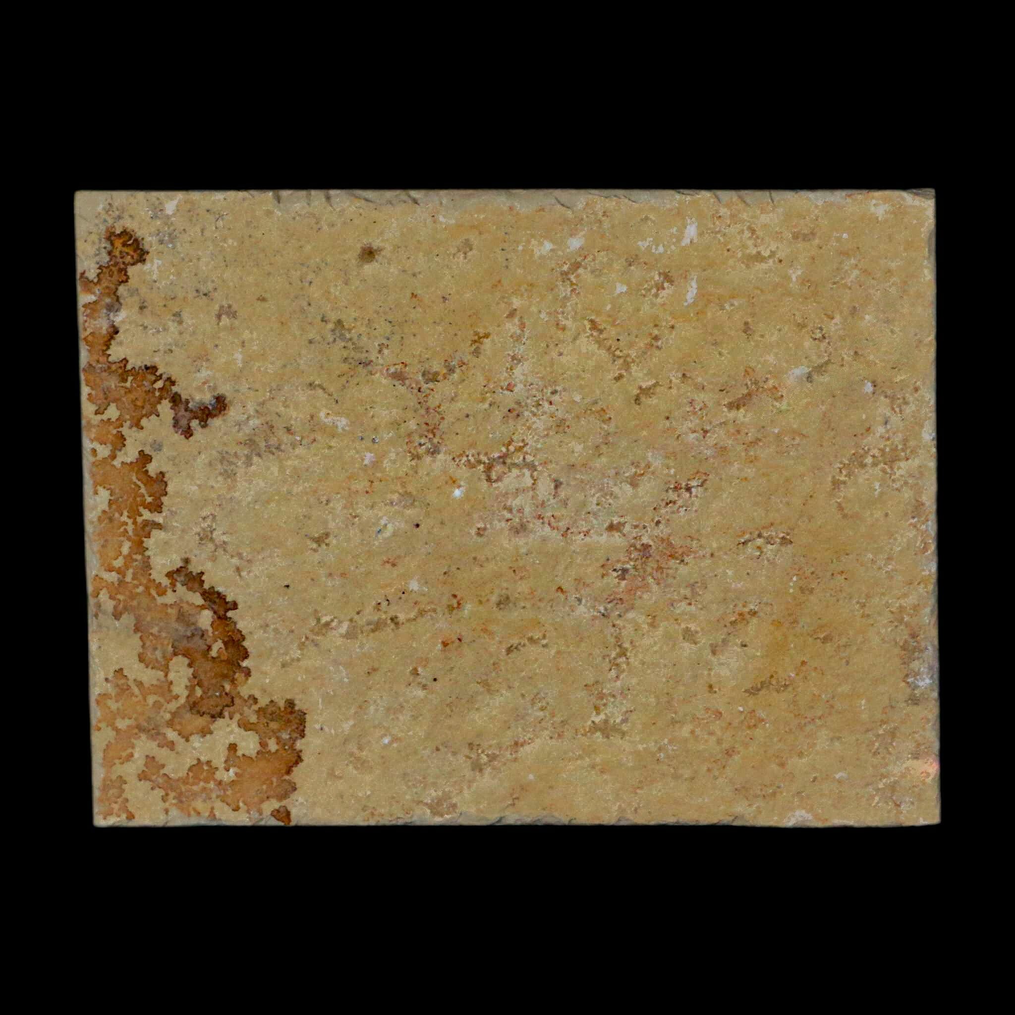3.1" Pyrolusite Dendritic Limestone Solnhofen Upper Jurassic Age West Germany - Fossil Age Minerals