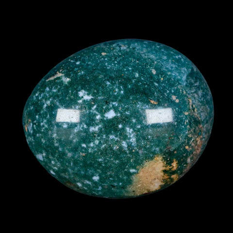2.7" Polychrome Jasper Natural Polished Mineral Palm Stone Madagascar - Fossil Age Minerals