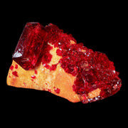 3" Stunning Red Pruskite Yellow Base Crystal Mineral Specimen From Poland