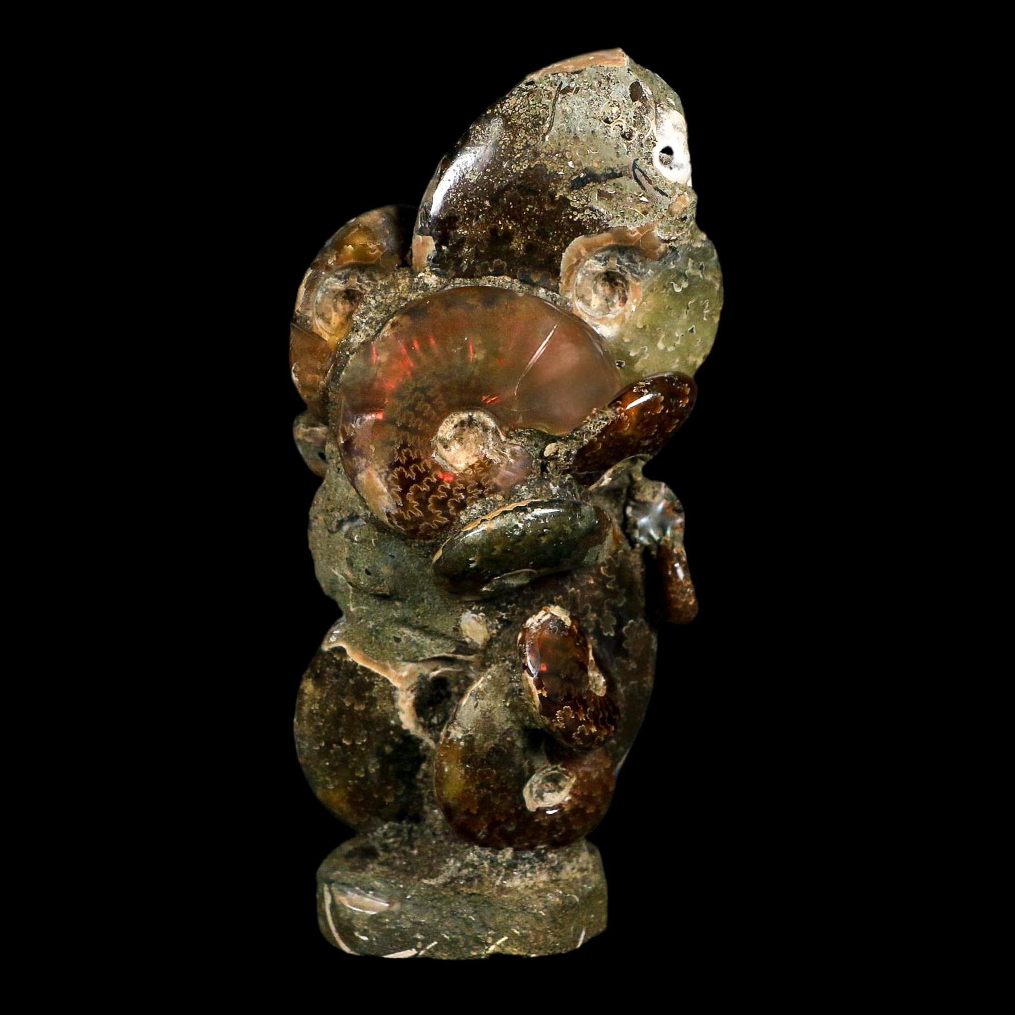 3.9" Iridescent Red Cleoniceras Ammonites Fossil Cluster on Stand Jurassic Age