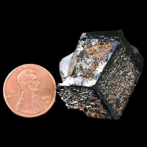 1.3" Natural Rough Schorl Black Tourmaline Mineral Erongo Mountains, Namibia - Fossil Age Minerals