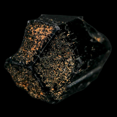 1.3" Natural Rough Schorl Black Tourmaline Mineral Erongo Mountains, Namibia - Fossil Age Minerals
