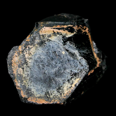 1.3" Natural Rough Schorl Black Tourmaline Mineral Erongo Mountains, Namibia - Fossil Age Minerals