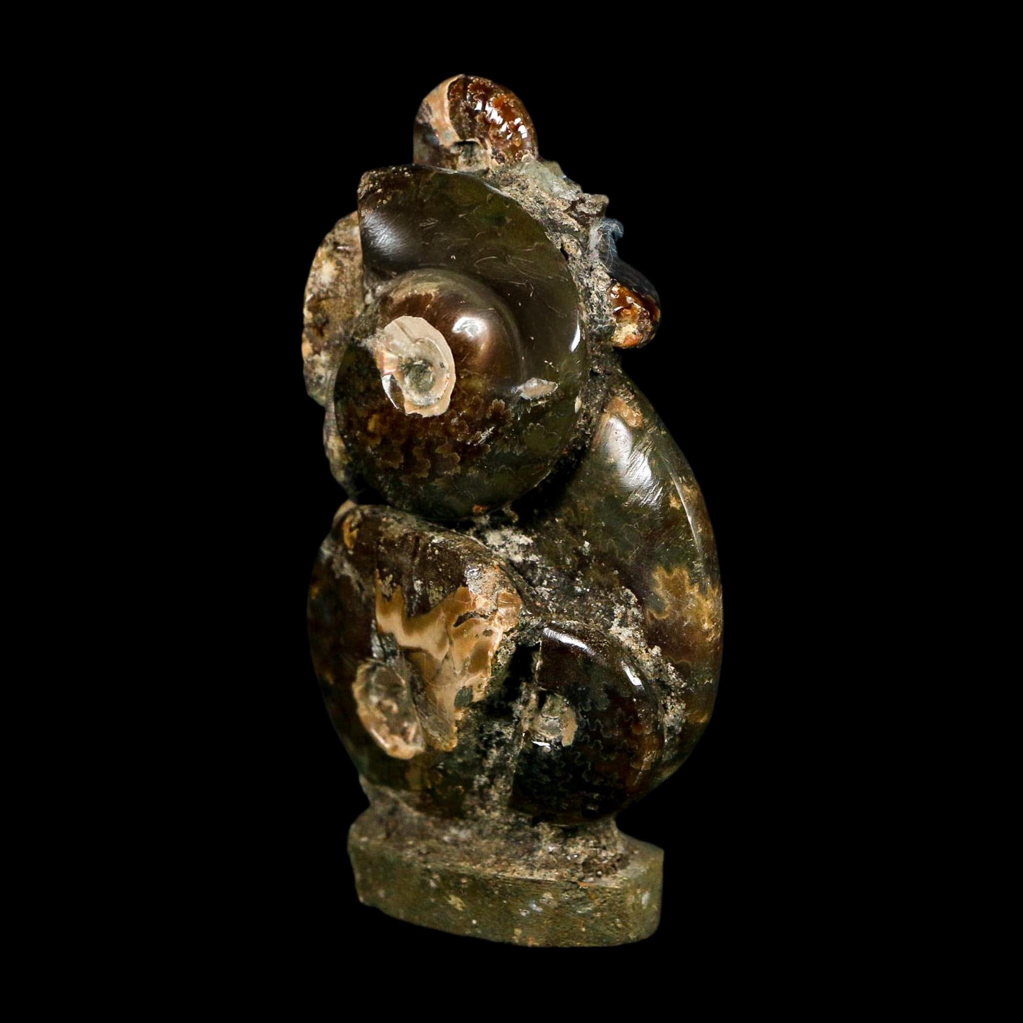 2.9" Cleoniceras Ammonite Fossil Cluster on Stand Madagascar Jurassic Age