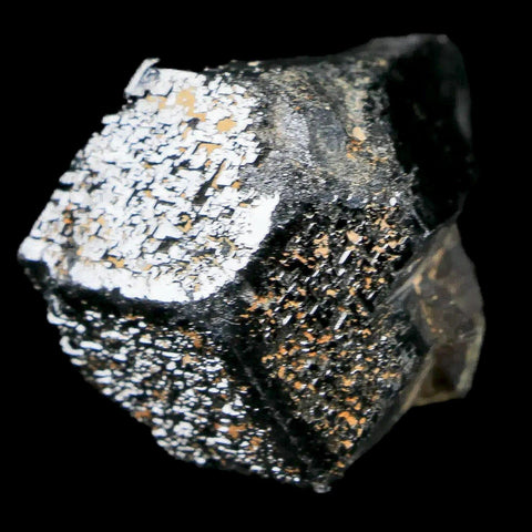 1.2" Natural Rough Schorl Black Tourmaline Mineral Erongo Mountains, Namibia - Fossil Age Minerals