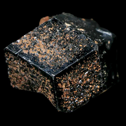 1.1" Natural Rough Schorl Black Tourmaline Mineral Erongo Mountains, Namibia - Fossil Age Minerals