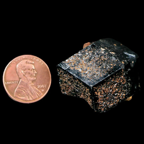 1.1" Natural Rough Schorl Black Tourmaline Mineral Erongo Mountains, Namibia - Fossil Age Minerals