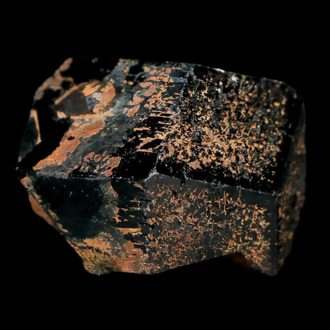 1.1" Natural Rough Schorl Black Tourmaline Mineral Erongo Mountains, Namibia - Fossil Age Minerals
