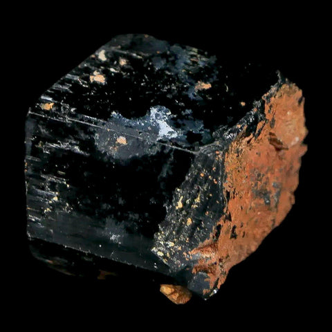 1.1" Natural Rough Schorl Black Tourmaline Mineral Erongo Mountains, Namibia - Fossil Age Minerals