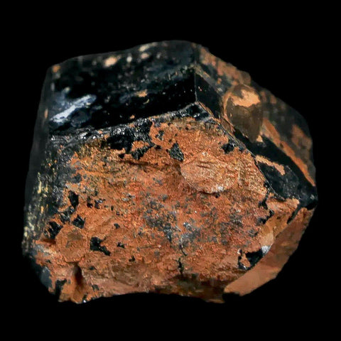 1.1" Natural Rough Schorl Black Tourmaline Mineral Erongo Mountains, Namibia - Fossil Age Minerals