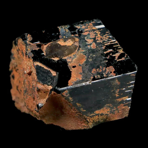 1.1" Natural Rough Schorl Black Tourmaline Mineral Erongo Mountains, Namibia - Fossil Age Minerals