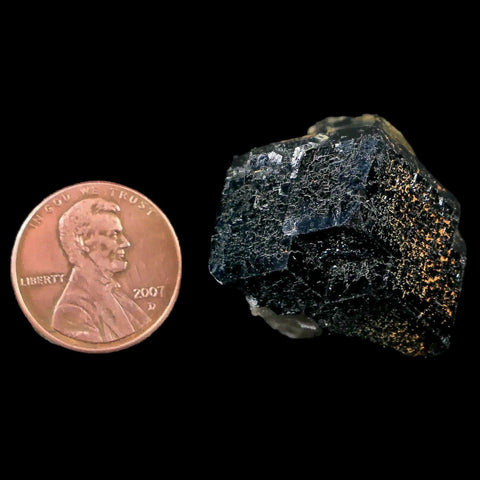 1.1" Natural Rough Schorl Black Tourmaline Mineral Erongo Mountains, Namibia - Fossil Age Minerals