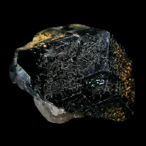 1.1" Natural Rough Schorl Black Tourmaline Mineral Erongo Mountains, Namibia - Fossil Age Minerals