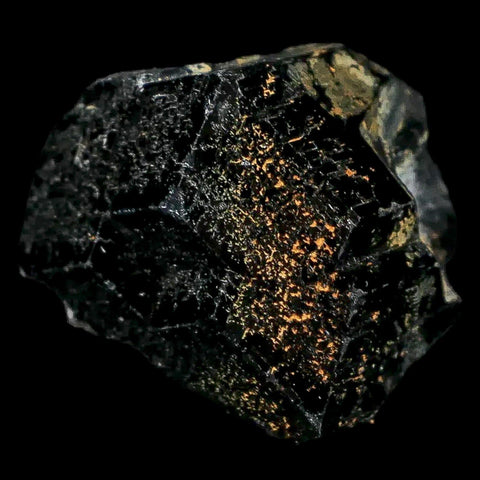 1.1" Natural Rough Schorl Black Tourmaline Mineral Erongo Mountains, Namibia - Fossil Age Minerals