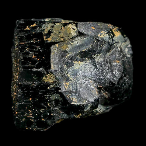 1.1" Natural Rough Schorl Black Tourmaline Mineral Erongo Mountains, Namibia - Fossil Age Minerals