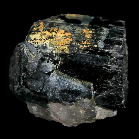 1.1" Natural Rough Schorl Black Tourmaline Mineral Erongo Mountains, Namibia - Fossil Age Minerals