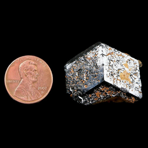 1.2" Natural Rough Schorl Black Tourmaline Mineral Erongo Mountains, Namibia - Fossil Age Minerals