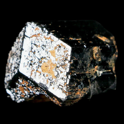1.2" Natural Rough Schorl Black Tourmaline Mineral Erongo Mountains, Namibia - Fossil Age Minerals