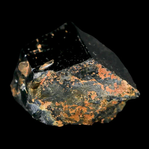 1.2" Natural Rough Schorl Black Tourmaline Mineral Erongo Mountains, Namibia - Fossil Age Minerals