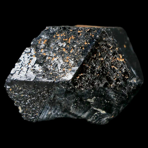 1.1" Natural Rough Schorl Black Tourmaline Mineral Erongo Mountains, Namibia - Fossil Age Minerals
