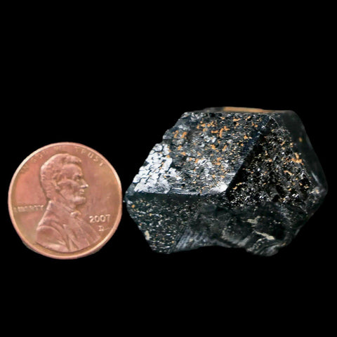 1.1" Natural Rough Schorl Black Tourmaline Mineral Erongo Mountains, Namibia - Fossil Age Minerals