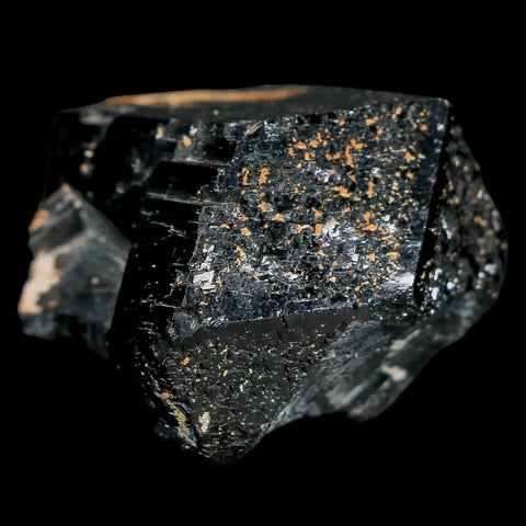 1.1" Natural Rough Schorl Black Tourmaline Mineral Erongo Mountains, Namibia - Fossil Age Minerals