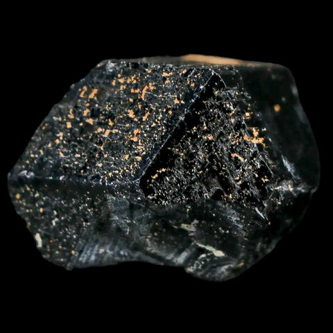 1.1" Natural Rough Schorl Black Tourmaline Mineral Erongo Mountains, Namibia - Fossil Age Minerals