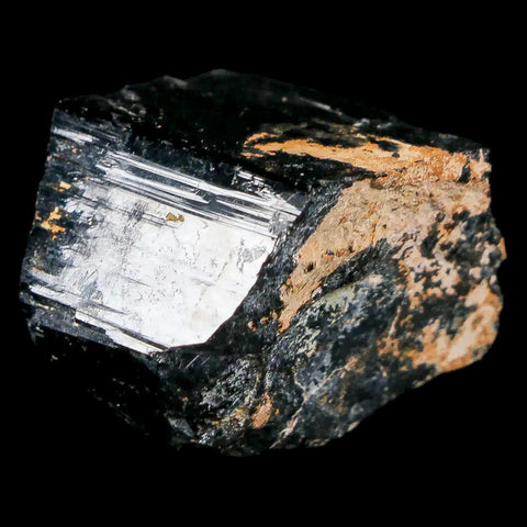 1.1" Natural Rough Schorl Black Tourmaline Mineral Erongo Mountains, Namibia - Fossil Age Minerals