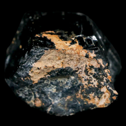 1.1" Natural Rough Schorl Black Tourmaline Mineral Erongo Mountains, Namibia - Fossil Age Minerals