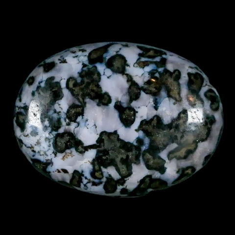 2.1" Natural Gabbro Polished Palm Stone Mineral Calcium Plagioclase Madagascar - Fossil Age Minerals