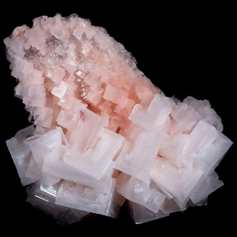 3" Quality Pink Halite Salt Crystals Cluster Mineral Trona, CA Searles Lake - Fossil Age Minerals