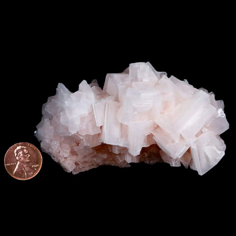 3.7" Quality Pink Halite Salt Crystals Cluster Mineral Trona, CA Searles Lake - Fossil Age Minerals