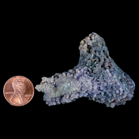 2.1" Purple Grape Agate Botryoidal Crystal Druzy Cluster Mineral Sulawesi Island - Fossil Age Minerals