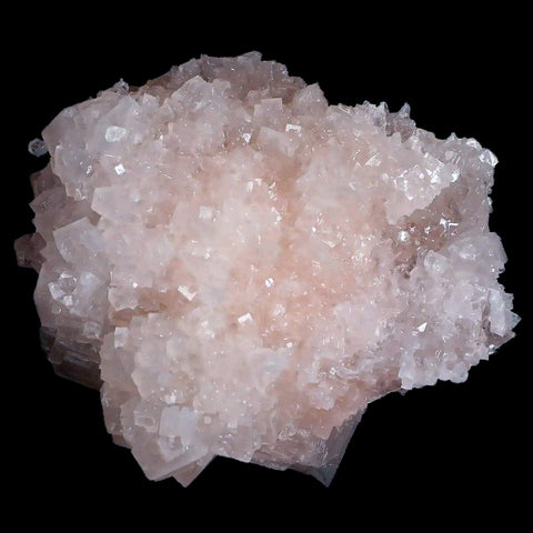3" Quality Pink Halite Salt Crystals Cluster Mineral Trona, CA Searles Lake - Fossil Age Minerals