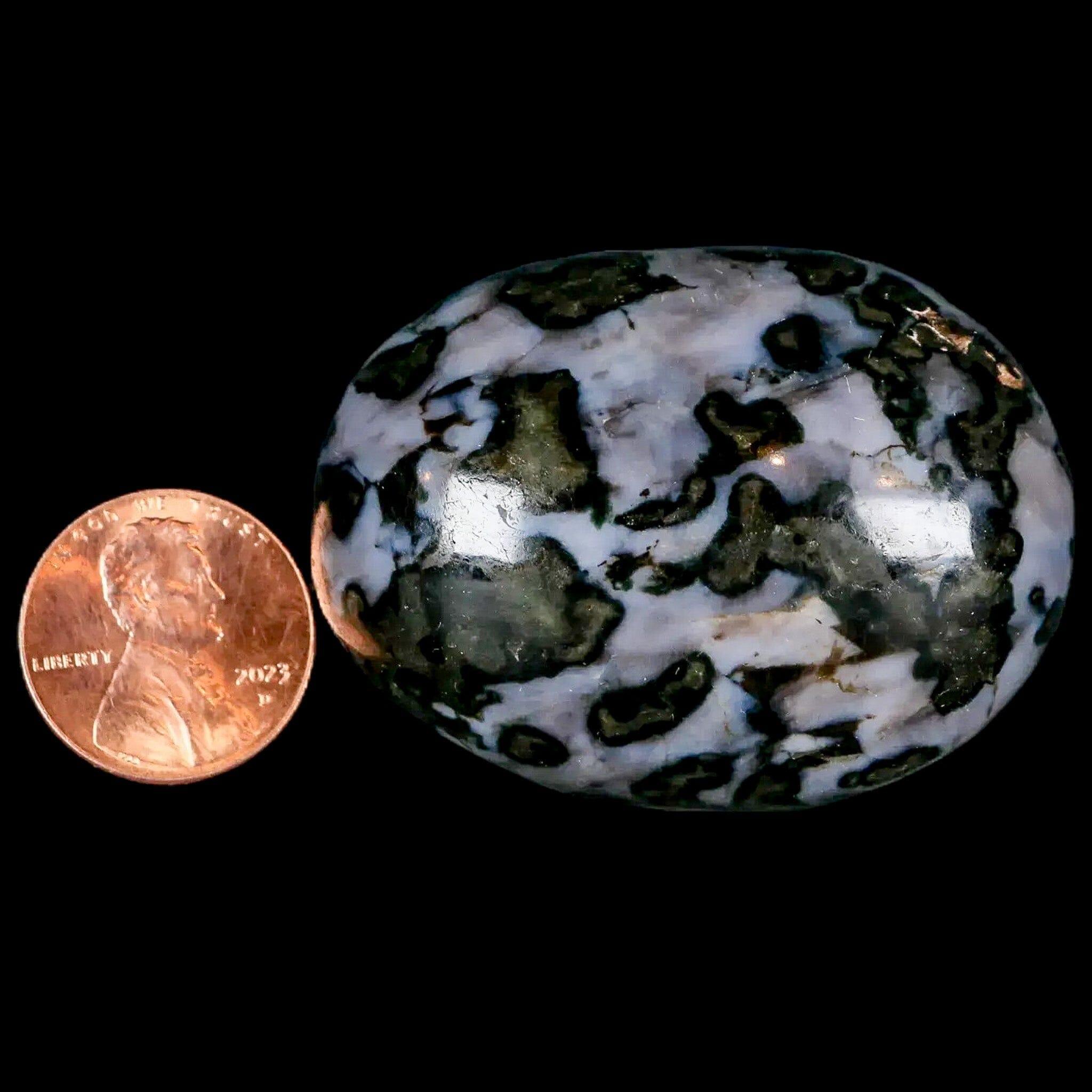 1.9" Natural Gabbro Polished Palm Stone Mineral Calcium Plagioclase Madagascar - Fossil Age Minerals