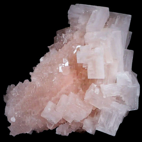 3.5" Quality Pink Halite Salt Crystals Cluster Mineral Trona, CA Searles Lake - Fossil Age Minerals