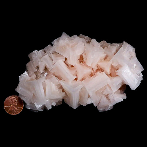 4.8" Quality Pink Halite Salt Crystals Cluster Mineral Trona, CA Searles Lake - Fossil Age Minerals