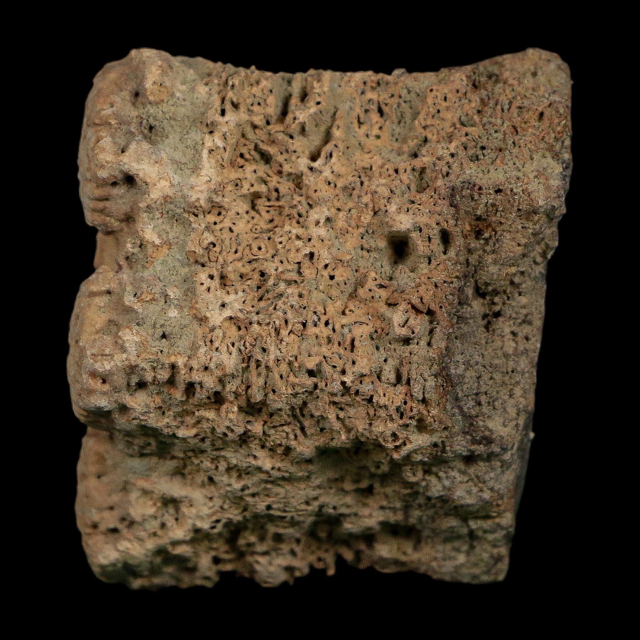 2.3" Glyptodon Fossil Osteoderm Scute Plate Bony Armor Pleistocene Uruguay COA - Fossil Age Minerals