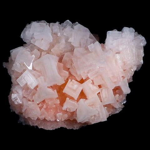 4.7" Quality Pink Halite Salt Crystals Cluster Mineral Trona, CA Searles Lake - Fossil Age Minerals