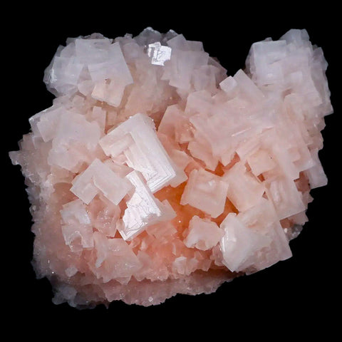 4.7" Quality Pink Halite Salt Crystals Cluster Mineral Trona, CA Searles Lake - Fossil Age Minerals