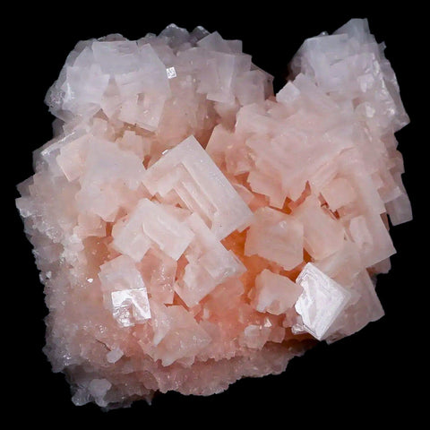 4.7" Quality Pink Halite Salt Crystals Cluster Mineral Trona, CA Searles Lake - Fossil Age Minerals