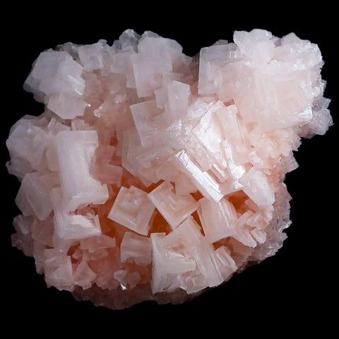 4.7" Quality Pink Halite Salt Crystals Cluster Mineral Trona, CA Searles Lake - Fossil Age Minerals