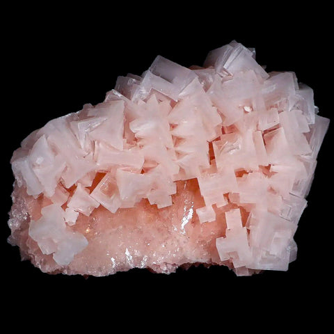 XL 5.3" Quality Pink Halite Salt Crystals Cluster Mineral Trona, CA Searles Lake - Fossil Age Minerals